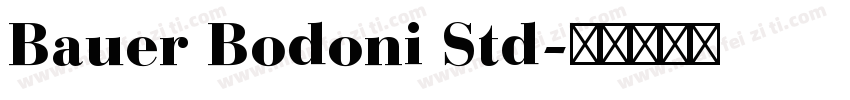 Bauer Bodoni Std字体转换
